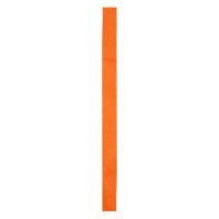 Лента для шляпы COMET