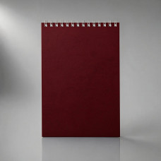 Бизнес - блокнот Альт А5 (127 х 198 мм) Office 60 л.