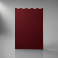 Бизнес - блокнот Альт А4 (198 х 285 мм) Office 60 л.