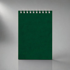 Бизнес - блокнот Альт А6 (94 х 130 мм) Office 60 л.